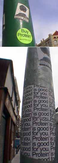  protein guesswho london ukingdom