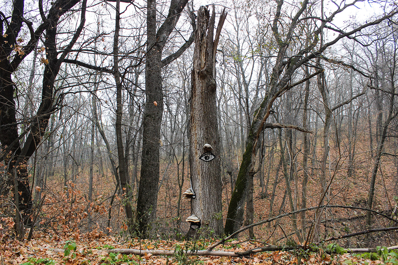 russia tree contextual-face evgeny-muluk