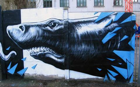  roa shark belgium