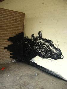  roa rat belgium