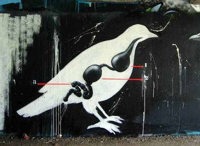  roa bird belgium