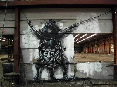  roa rat belgium