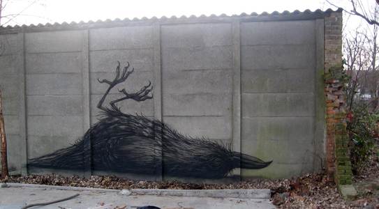  roa bird belgium