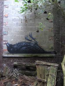  roa bird belgium