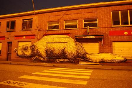  roa doel night belgium