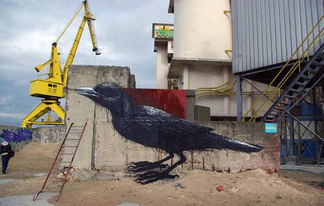  roa bird gent belgium