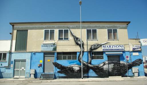  roa bird ancona italy