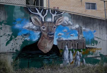  oisin fintan-magee australia