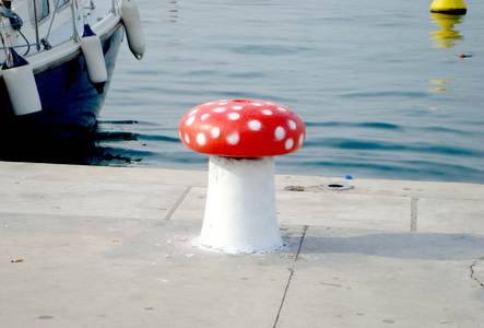  absent mushroom 3-d greece