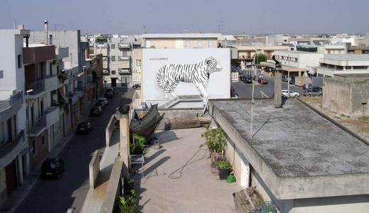  escif tiger italy