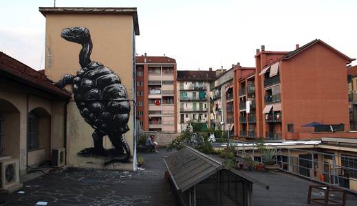  roa turtle torino italy