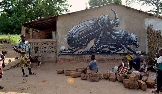  roa gambia africa