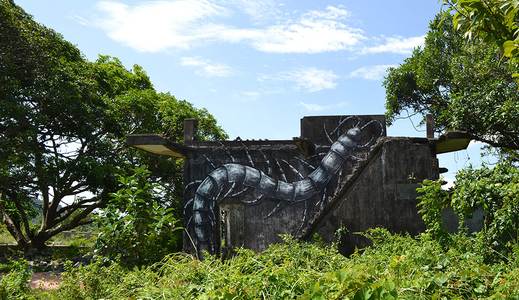  roa cambodia asia