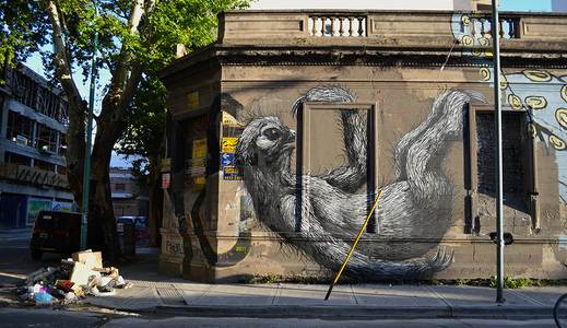 buenosaires argentina roa