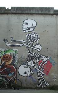 napoli skeleton arp