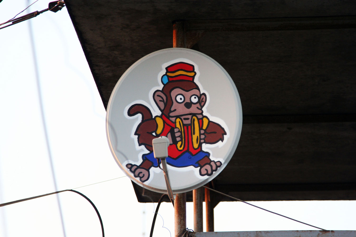  zukclub monkey moscow russia