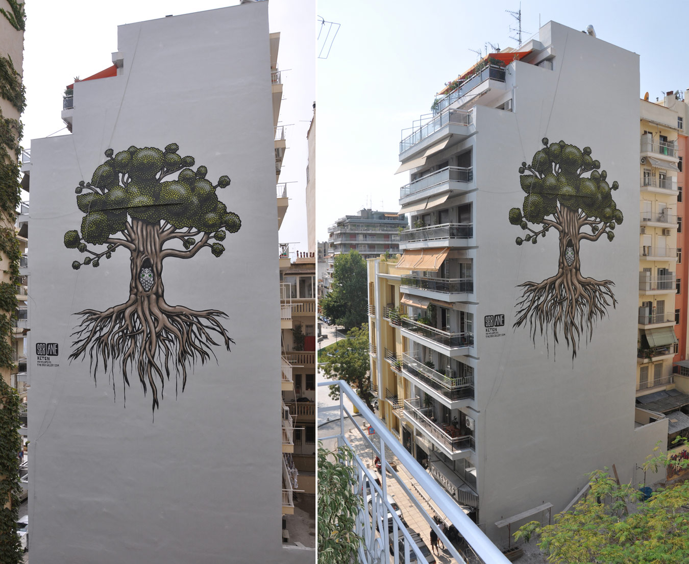  ser big thessaloniki tree greece