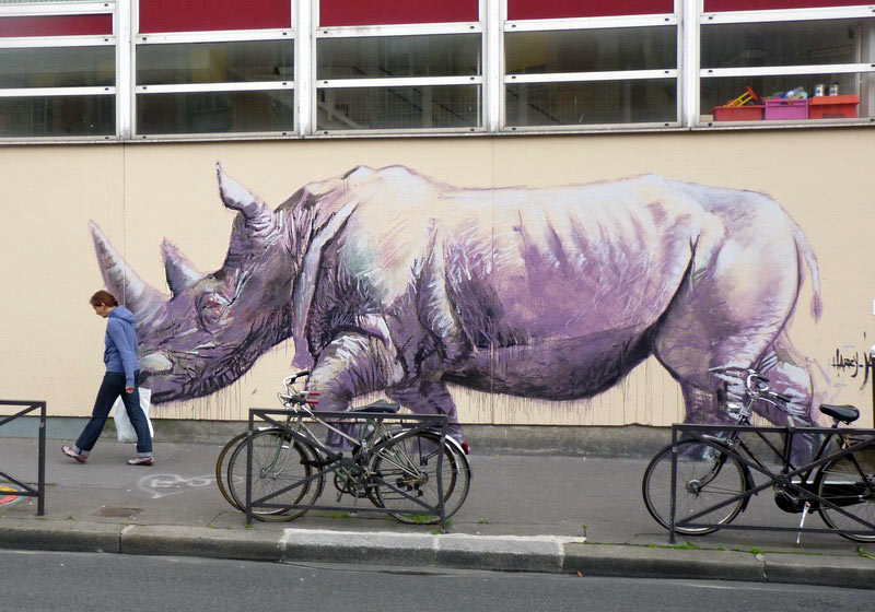  harry-james purple rhinoceros paris