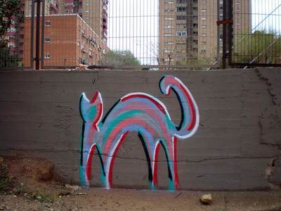  gato cat barcelona