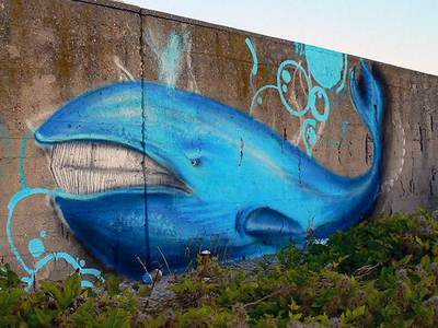  jermain blue whale varna bulgaria balkans