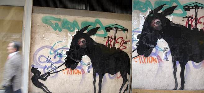  sam3 murcia donkey spain