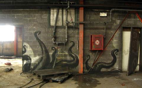  roa octopus belgium