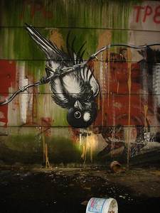  roa bird belgium