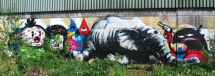  bue roa elephant belgium