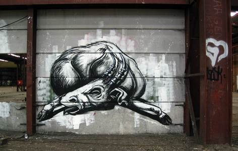  roa belgium