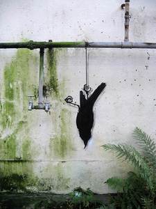  roa bird belgium