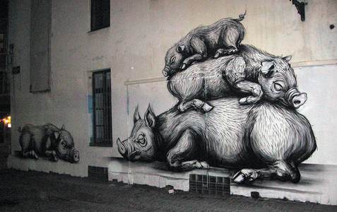  roa pig belgium