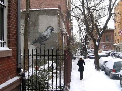  roa bird snow nyc