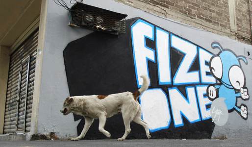  fize stnk dog mexico