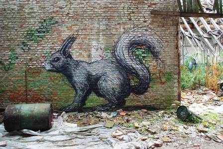  roa belgium