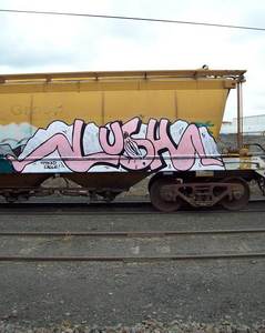  lush freight pink melbourne australia