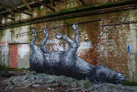  roa gent belgium