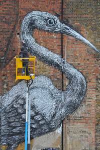  roa bird big process london ukingdom