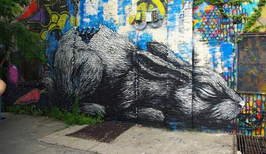  roa rabbit nyc