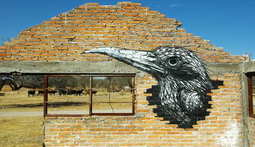  roa bird mexico