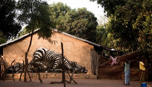  roa gambia africa