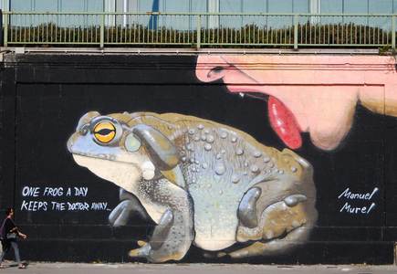  manuel-murel frog big wien austria europe