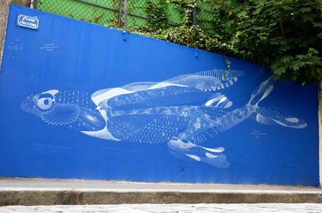  philippe-baudelocque blue fish paris