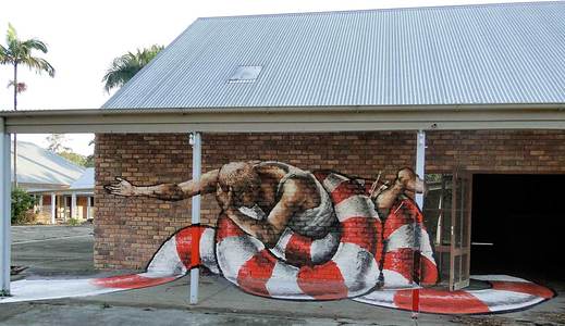  fintan-magee snake brisbane australia