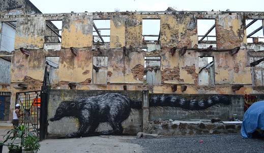 roa panama south-america