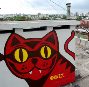 cat buenosaires argentina south-america kazyuskey