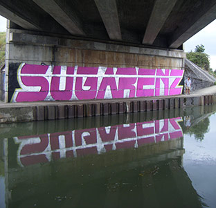 pink toulouse bridge france sugar renz