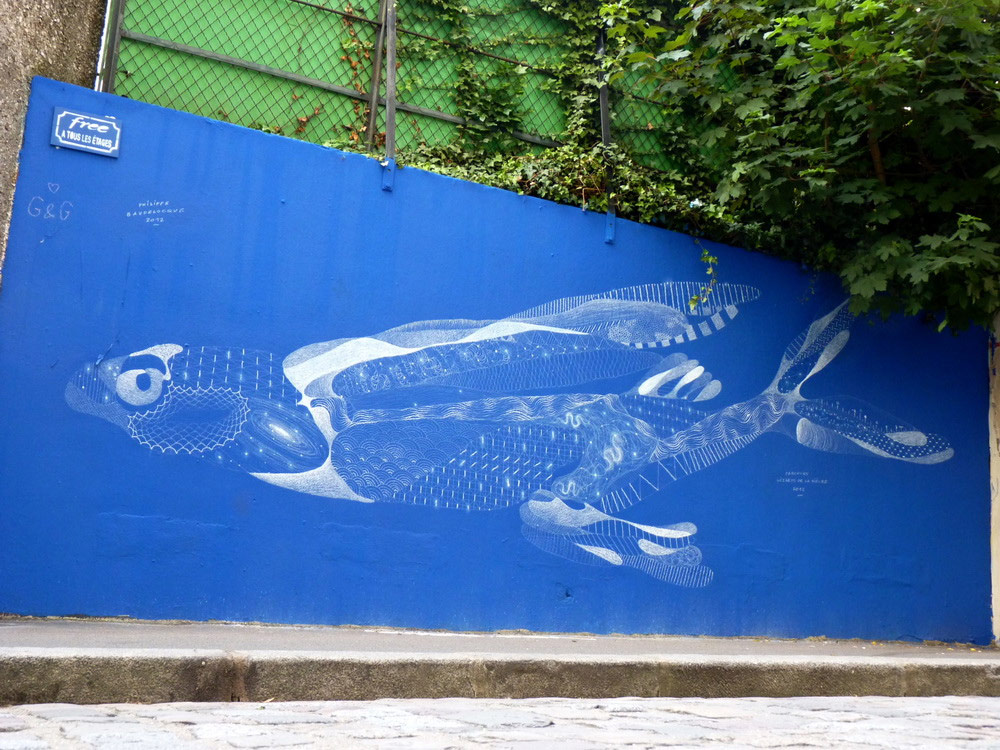  philippe-baudelocque blue fish paris