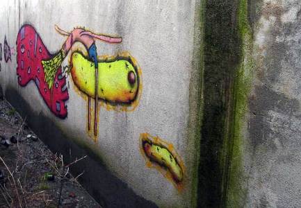  renal mexico