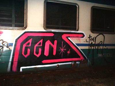  teen torino train-italy