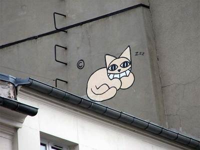  mrchat roof paris cat